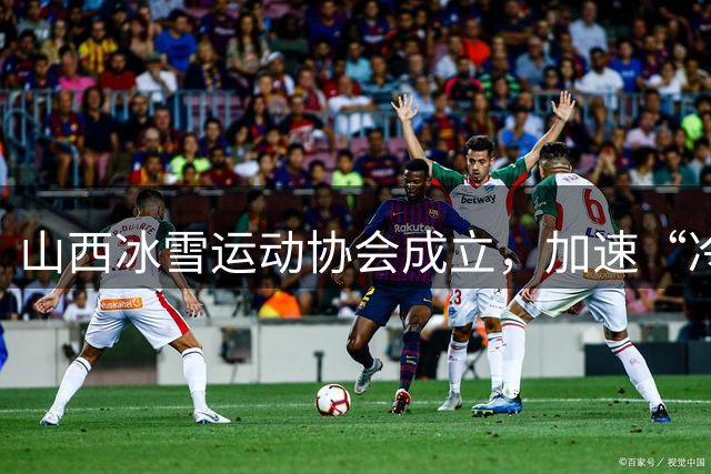 山西冰雪运动协会成立，加速“冷资源”向“热经济”转化